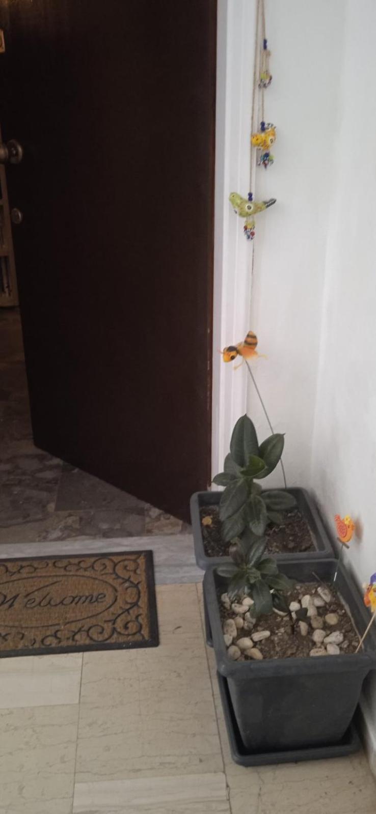 Campelina Home, 2Bd Near Corfu Town Eksteriør billede